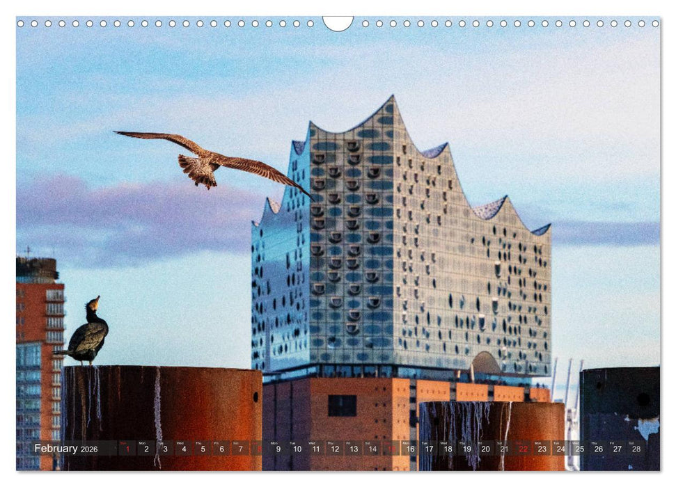 Hamburg perspectives (CALVENDO Monthly Calendar 2026)