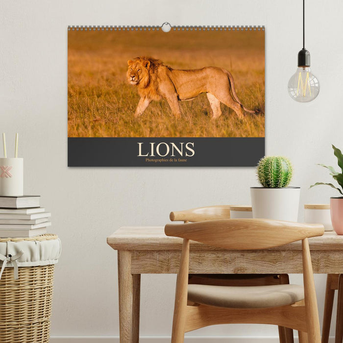 Lions – Photographies de la faune (CALVENDO Calendrier mensuel 2026)
