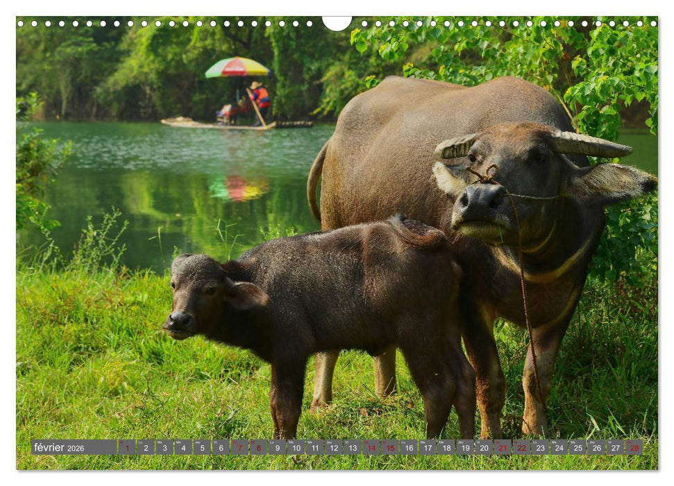 RIVIÈRE YULONG (CALVENDO Calendrier mensuel 2026)