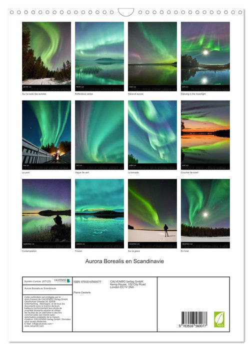 Aurora Borealis en Scandinavie (CALVENDO Calendrier mensuel 2026)