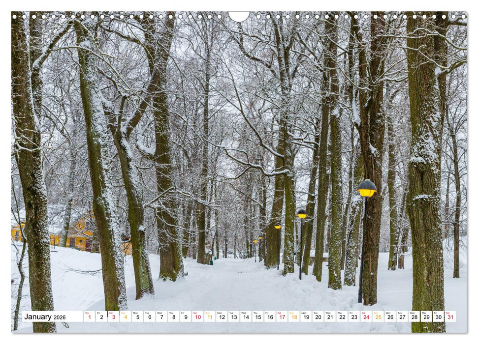 Four seasons in Estonia (CALVENDO Monthly Calendar 2026)