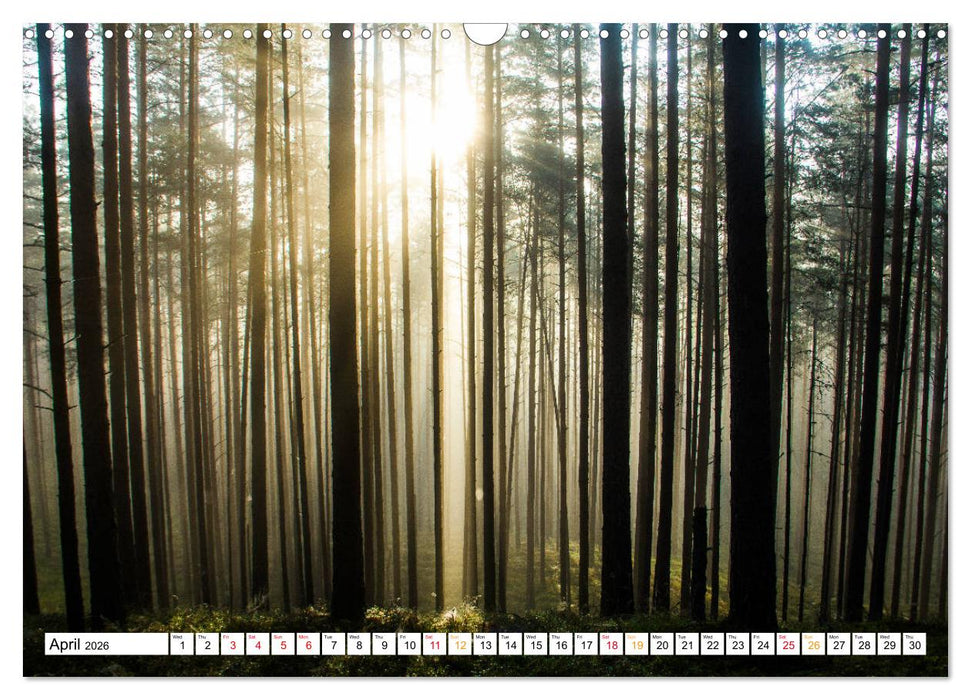 Four seasons in Estonia (CALVENDO Monthly Calendar 2026)