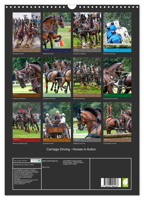 Carriage Driving - Horses in Action (CALVENDO Monthly Calendar 2026)