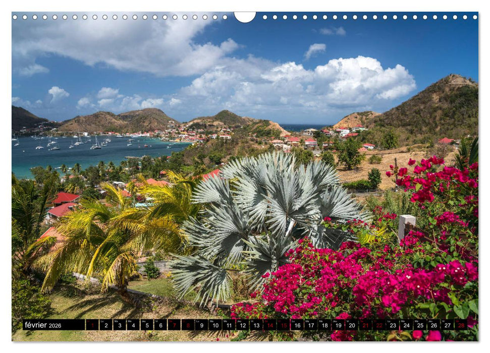 Guadeloupe (CALVENDO Calendrier mensuel 2026)