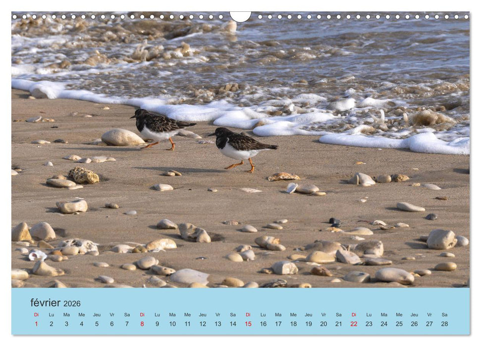 La Charente Maritime, des paysages entre terre et mer (CALVENDO Calendrier mensuel 2026)