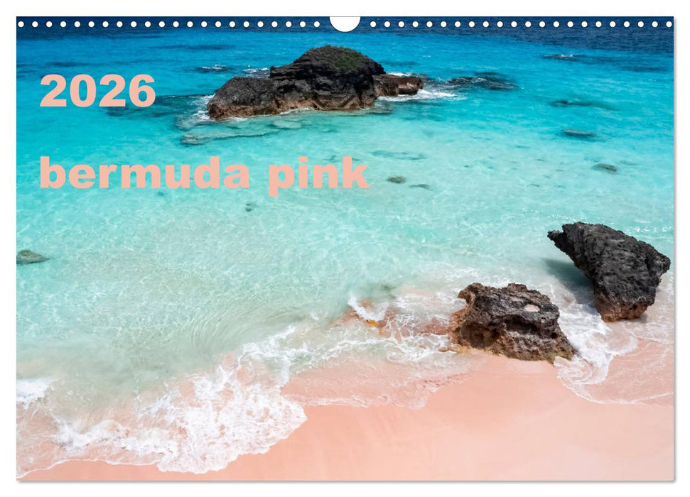 bermuda pink (CALVENDO Monthly Calendar 2026)