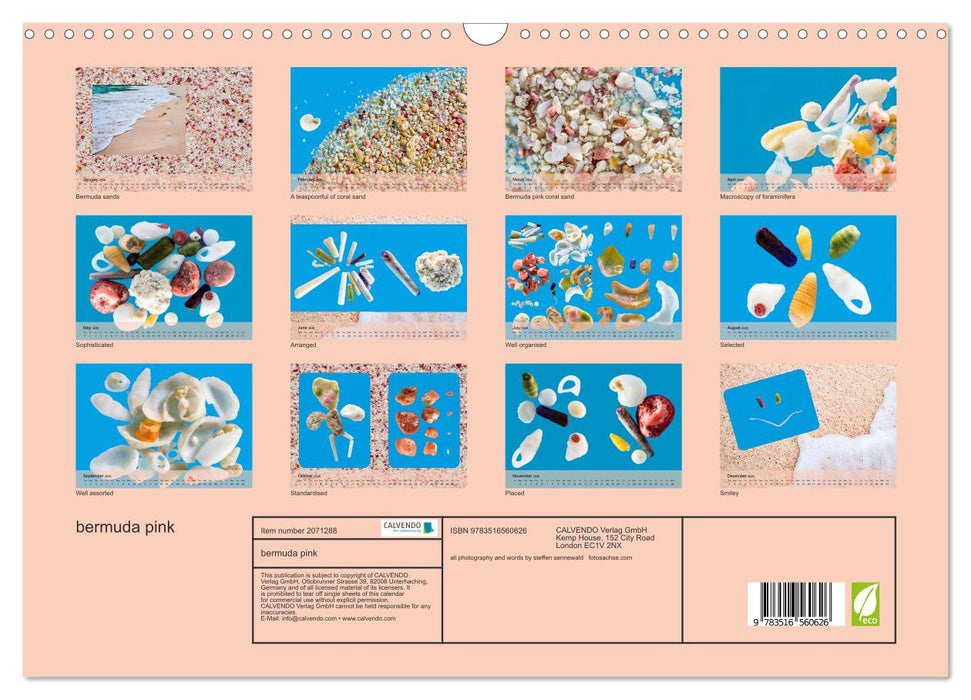 bermuda pink (CALVENDO Monthly Calendar 2026)
