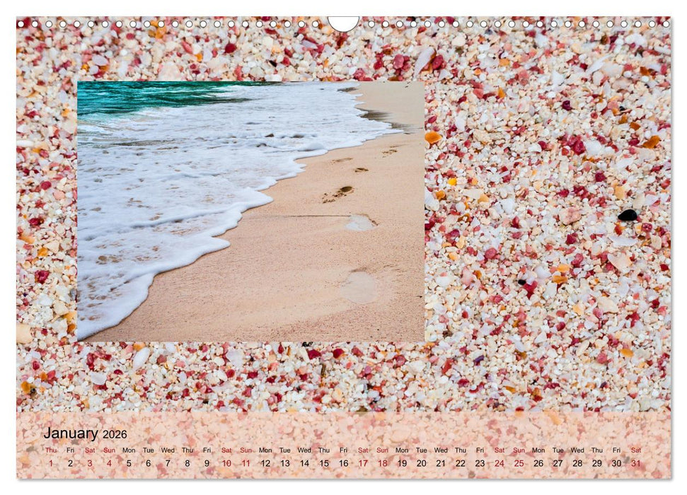 bermuda pink (CALVENDO Monthly Calendar 2026)
