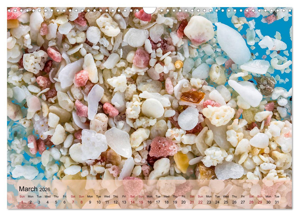 bermuda pink (CALVENDO Monthly Calendar 2026)