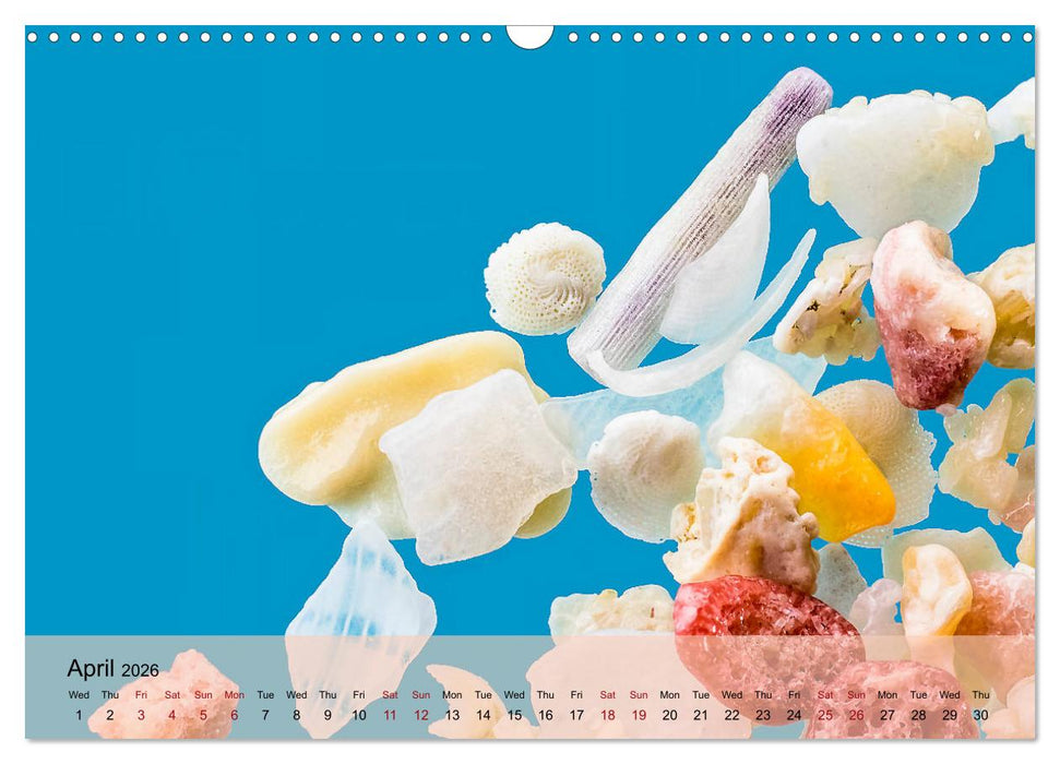 bermuda pink (CALVENDO Monthly Calendar 2026)