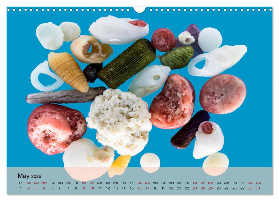 bermuda pink (CALVENDO Monthly Calendar 2026)