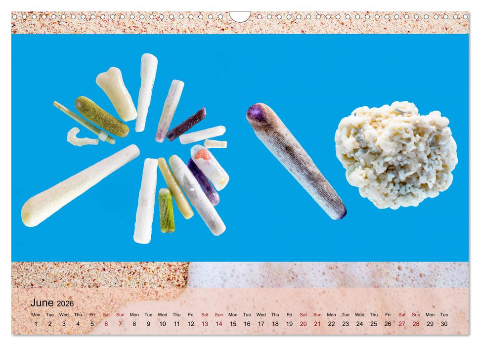 bermuda pink (CALVENDO Monthly Calendar 2026)