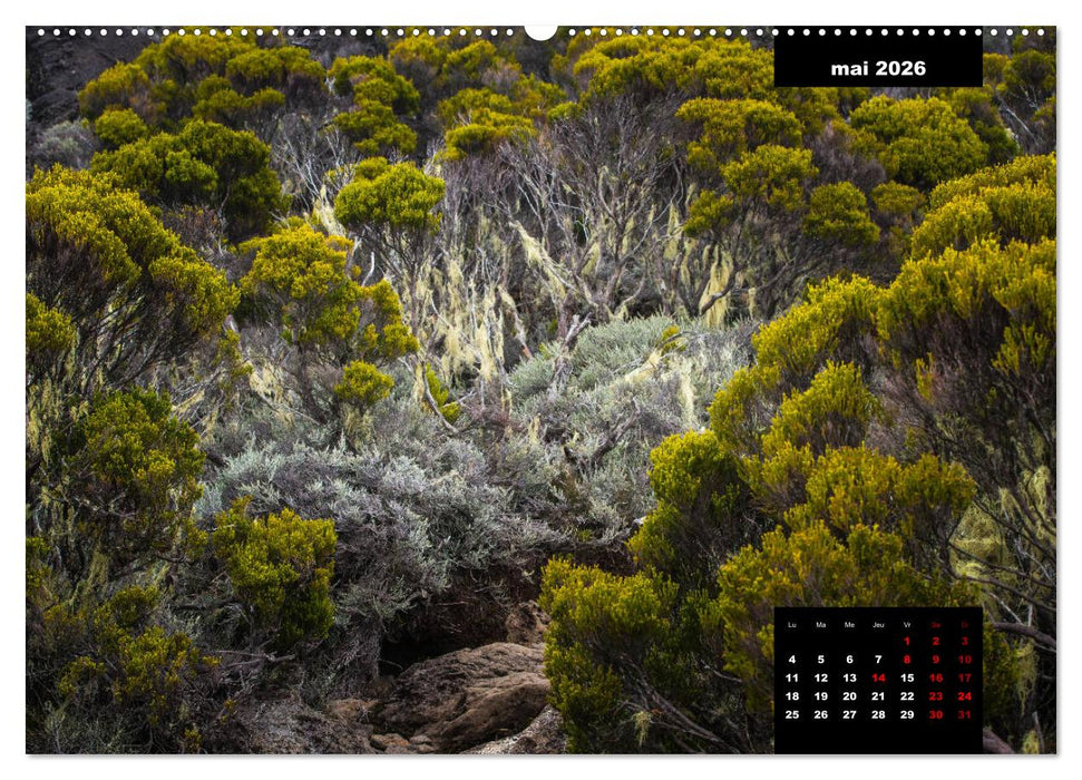 Paysages de l'île de La Réunion (CALVENDO Calendrier supérieur 2026)