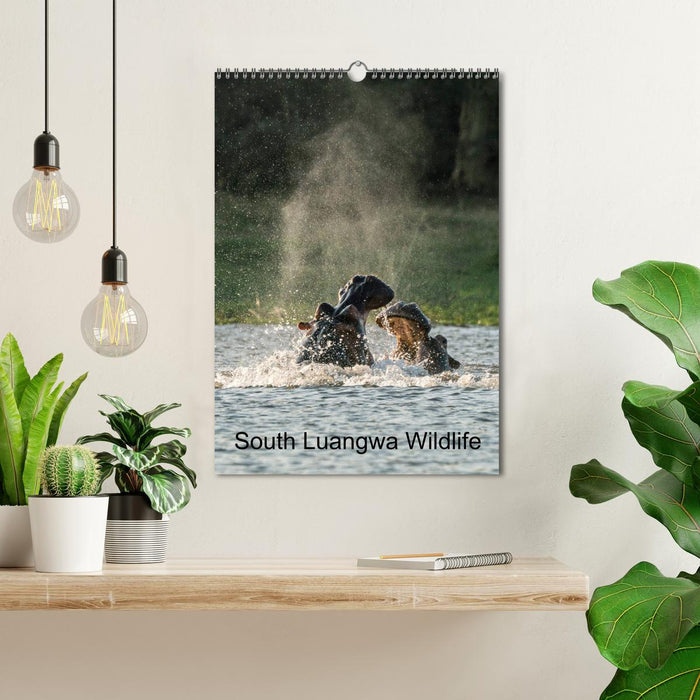 South Luangwa Wildlife (CALVENDO Monthly Calendar 2026)