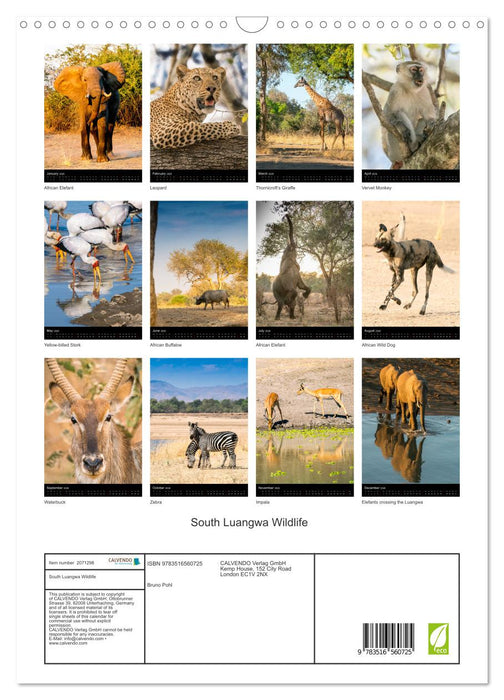 South Luangwa Wildlife (CALVENDO Monthly Calendar 2026)