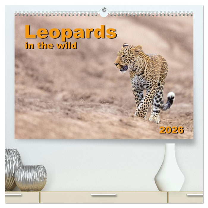 Leopards in the wild (CALVENDO Premium-Calendar 2026)