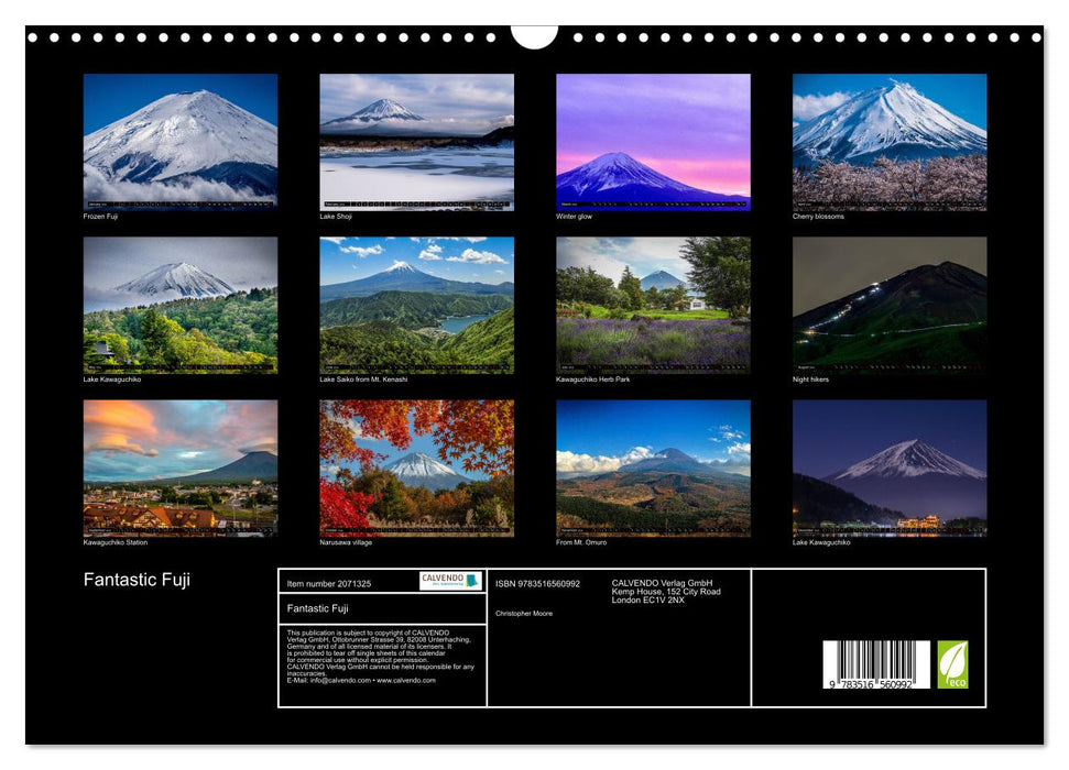Fantastic Fuji (CALVENDO Monthly Calendar 2026)