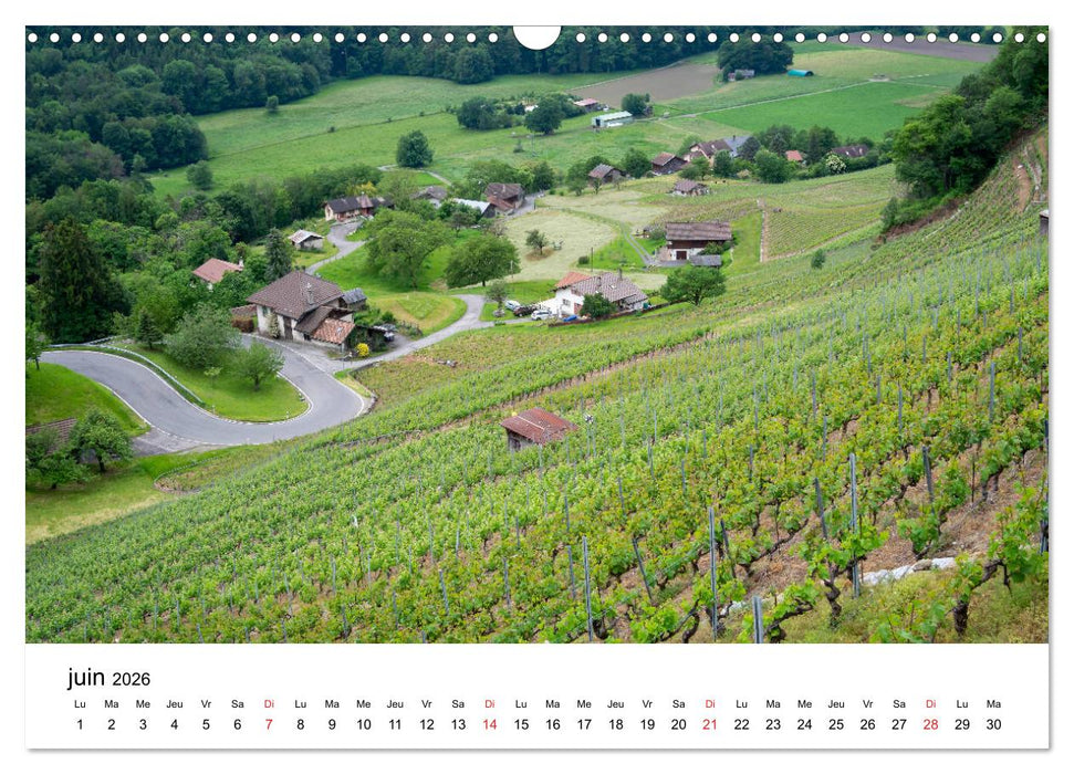 Randonnées en Suisse Les Alpes vaudoises (CALVENDO Calendrier mensuel 2026)