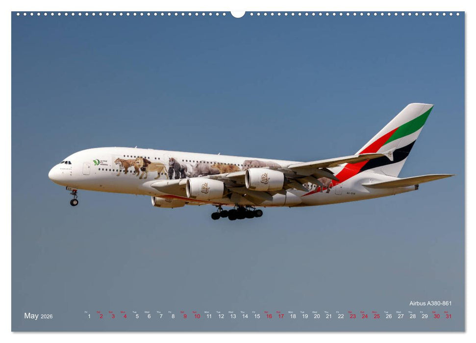 Airliners of the Middle East (CALVENDO Premium-Calendar 2026)