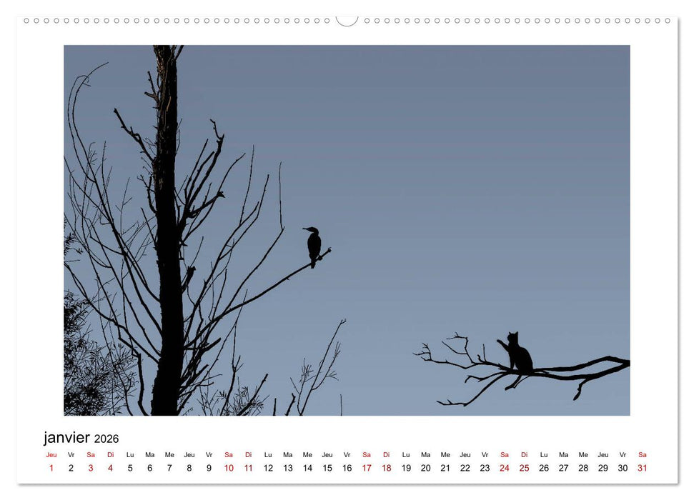 Berlioz et Zoé à Angers (CALVENDO Calendrier supérieur 2026)