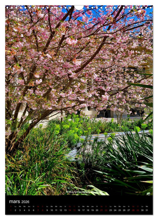 Paris, ce supplément d'âme (CALVENDO Calendrier mensuel 2026)