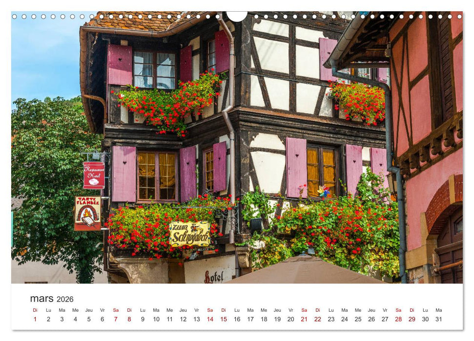 Route des Vins d'Alsace, villages pittoresques et paysages idylliques (CALVENDO Calendrier mensuel 2026)