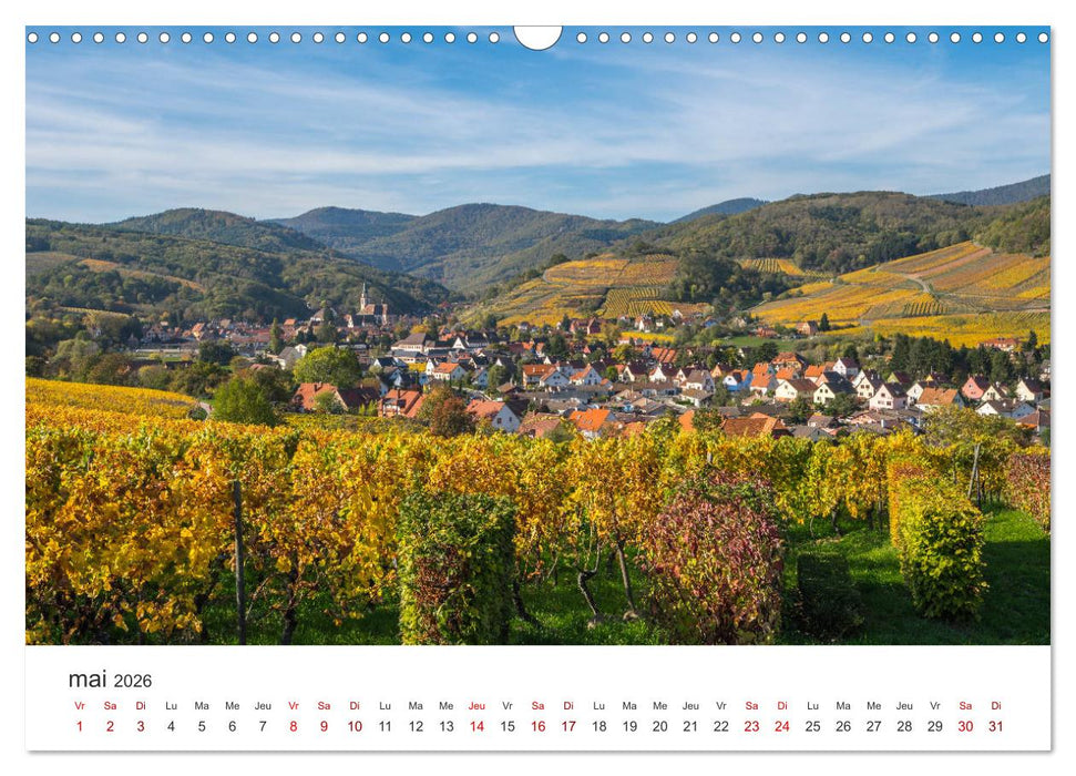 Route des Vins d'Alsace, villages pittoresques et paysages idylliques (CALVENDO Calendrier mensuel 2026)