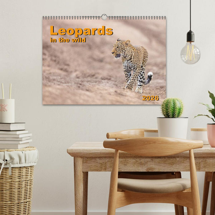 Leopards in the wild (CALVENDO Monthly Calendar 2026)