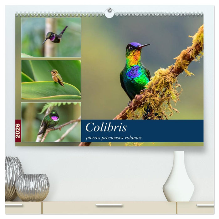 Colibris - pierres précieuses volantes (CALVENDO Calendrier supérieur 2026)