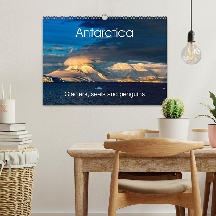 Antarctica Glaciers, seals and penguins (CALVENDO Monthly Calendar 2026)