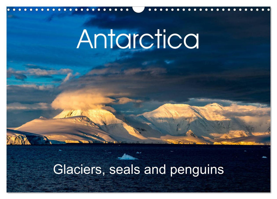 Antarctica Glaciers, seals and penguins (CALVENDO Monthly Calendar 2026)