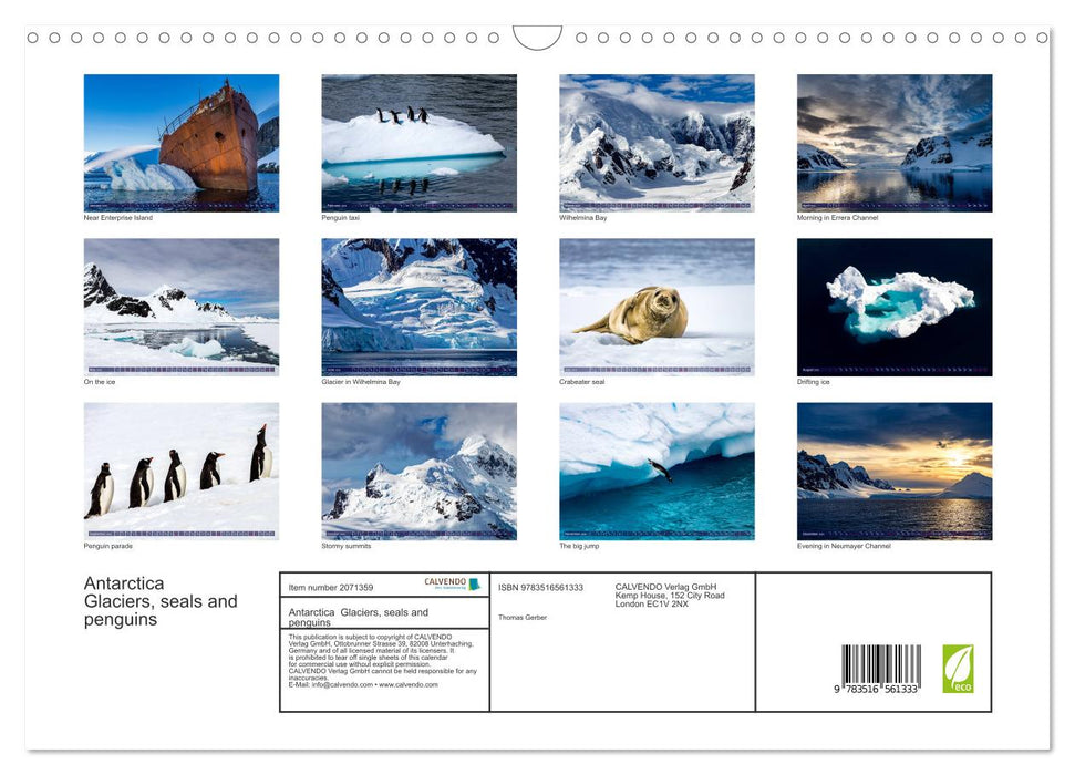 Antarctica Glaciers, seals and penguins (CALVENDO Monthly Calendar 2026)