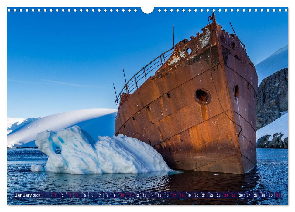 Antarctica Glaciers, seals and penguins (CALVENDO Monthly Calendar 2026)