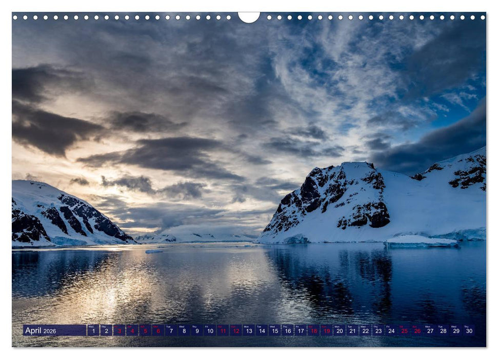 Antarctica Glaciers, seals and penguins (CALVENDO Monthly Calendar 2026)