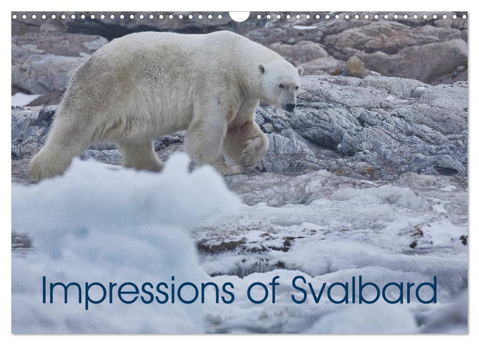 Impressions of Svalbard (CALVENDO Monthly Calendar 2026)