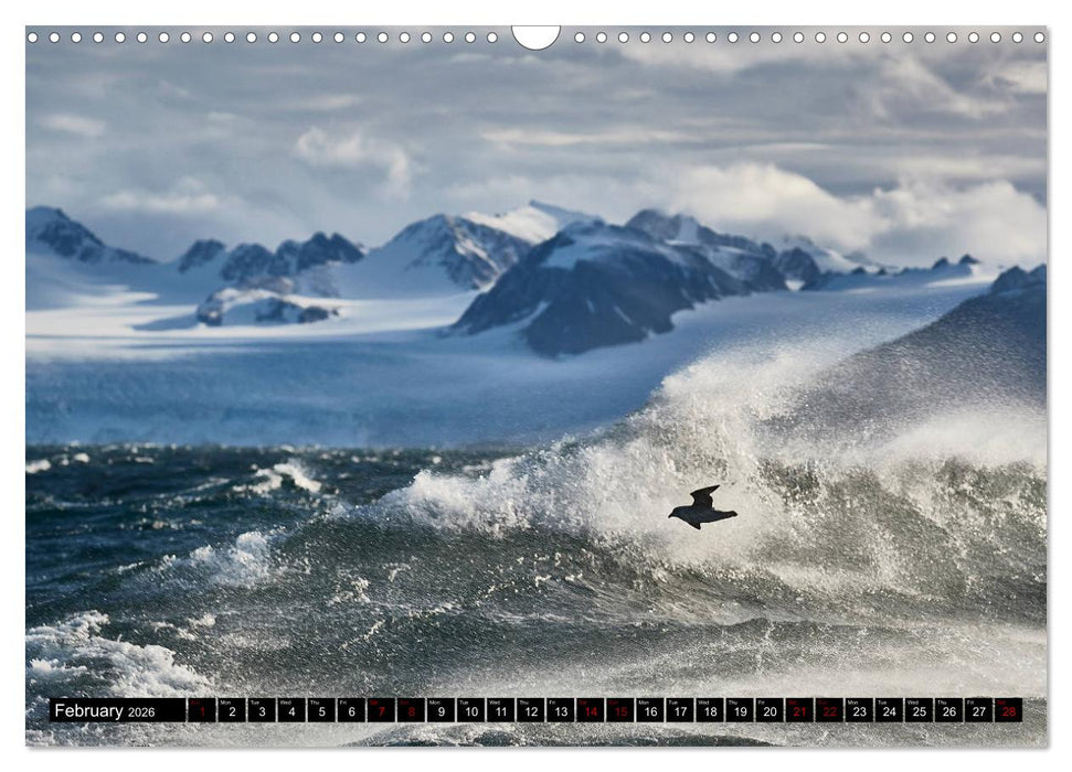 Impressions of Svalbard (CALVENDO Monthly Calendar 2026)