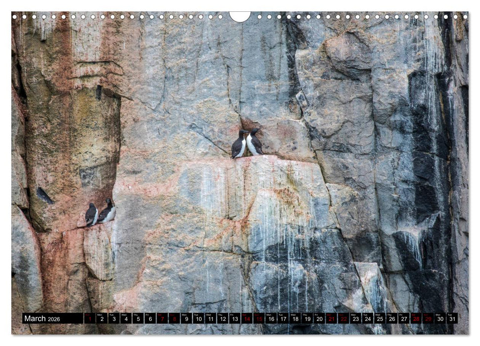 Impressions of Svalbard (CALVENDO Monthly Calendar 2026)