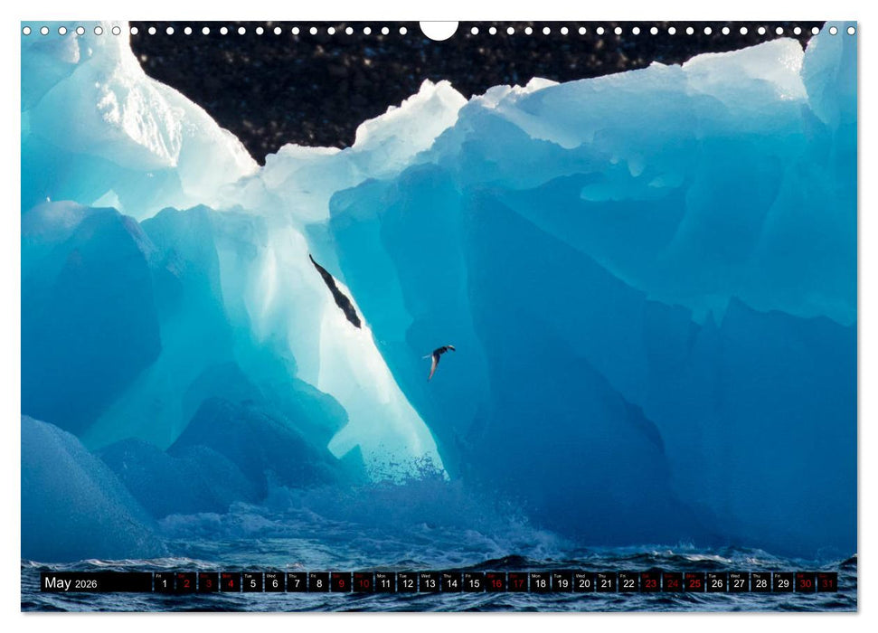 Impressions of Svalbard (CALVENDO Monthly Calendar 2026)