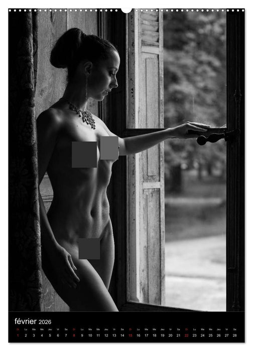 Les dames du château (CALVENDO Calendrier supérieur 2026)