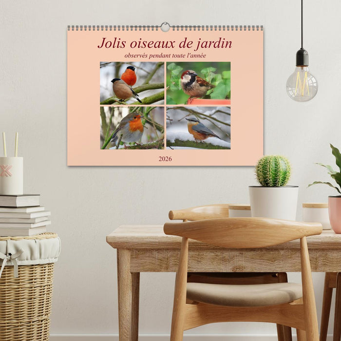 Jolis oiseaux de jardin (CALVENDO Calendrier mensuel 2026)