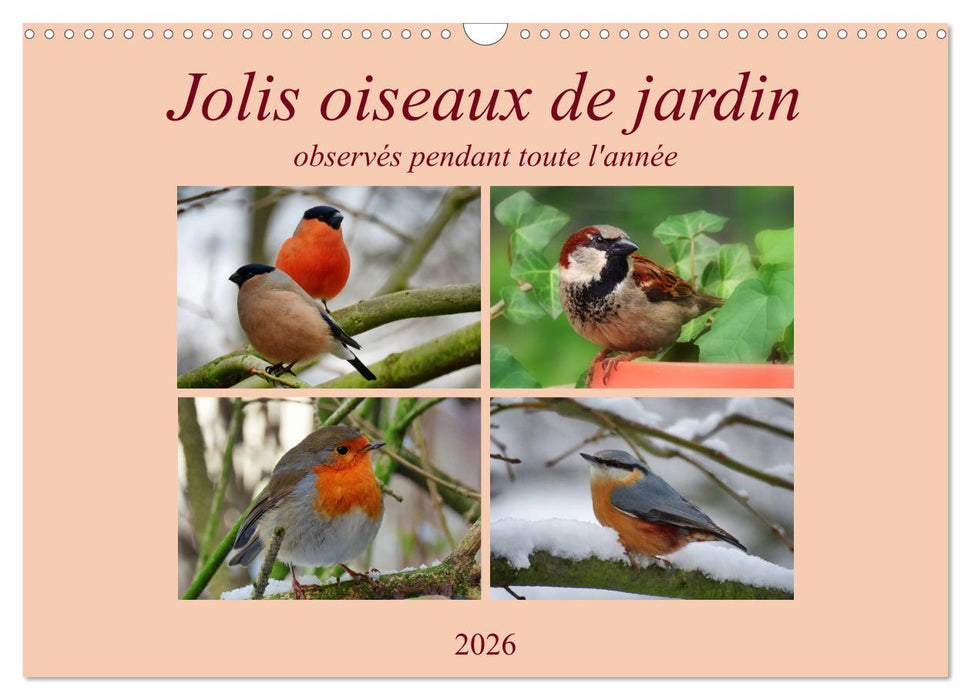 Jolis oiseaux de jardin (CALVENDO Calendrier mensuel 2026)