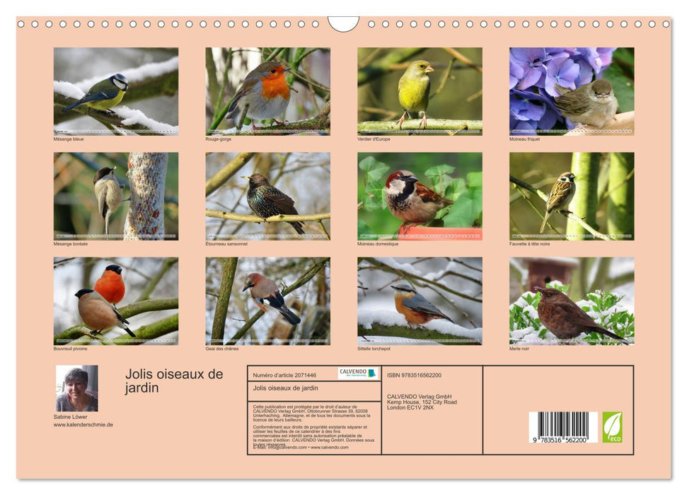 Jolis oiseaux de jardin (CALVENDO Calendrier mensuel 2026)