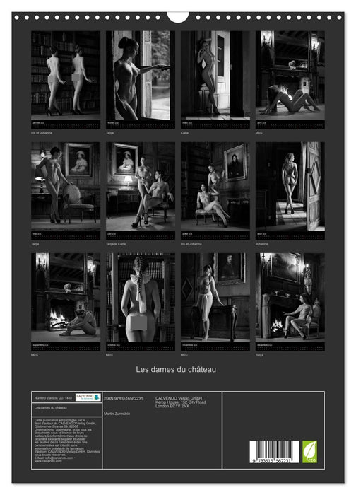 Les dames du château (CALVENDO Calendrier mensuel 2026)