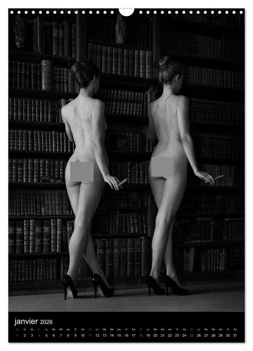 Les dames du château (CALVENDO Calendrier mensuel 2026)