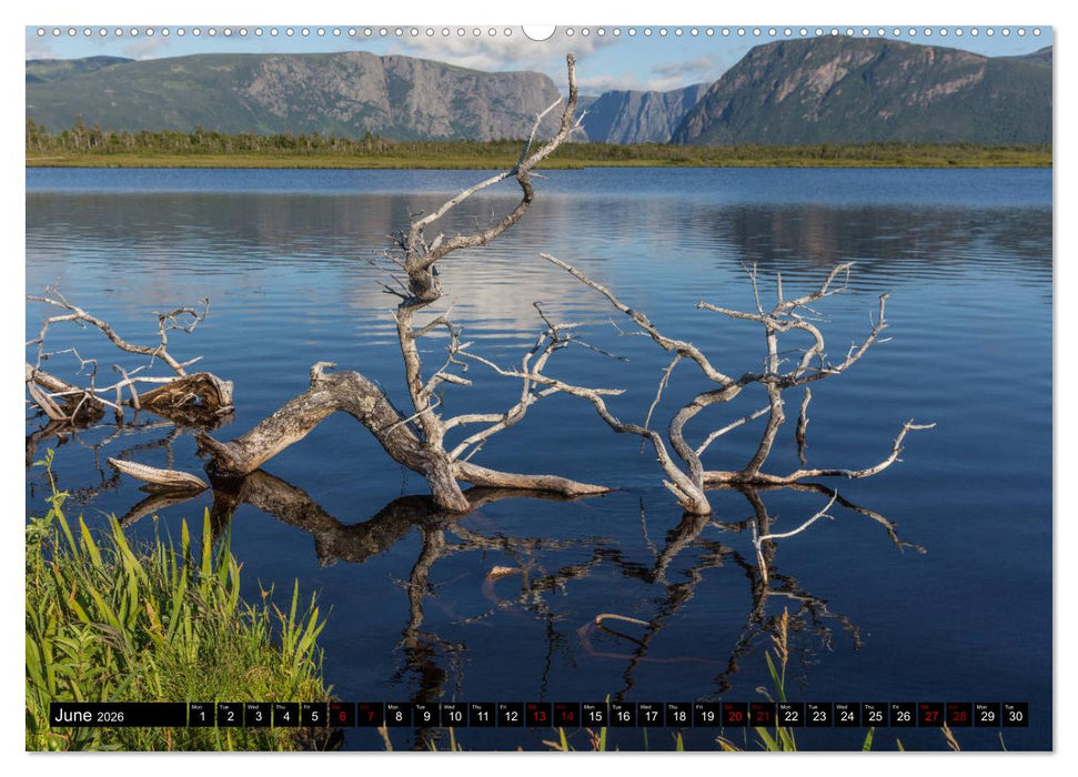 Island of Newfoundland (CALVENDO Premium-Calendar 2026)