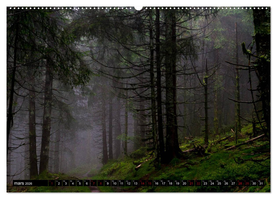 Lumières des Vosges (CALVENDO Calendrier supérieur 2026)