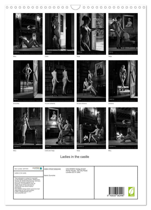 Ladies in the castle (CALVENDO Monthly Calendar 2026)