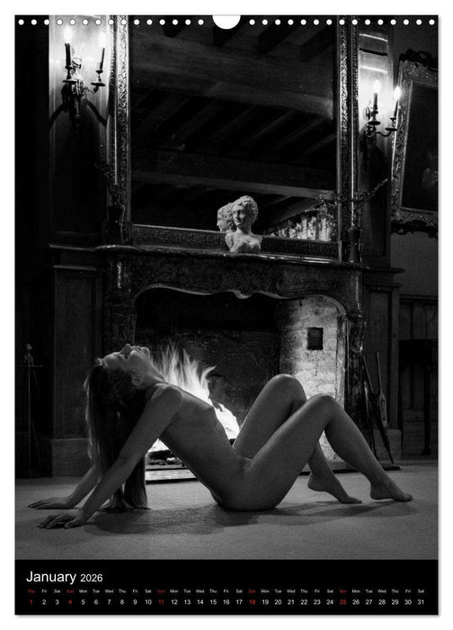 Ladies in the castle (CALVENDO Monthly Calendar 2026)