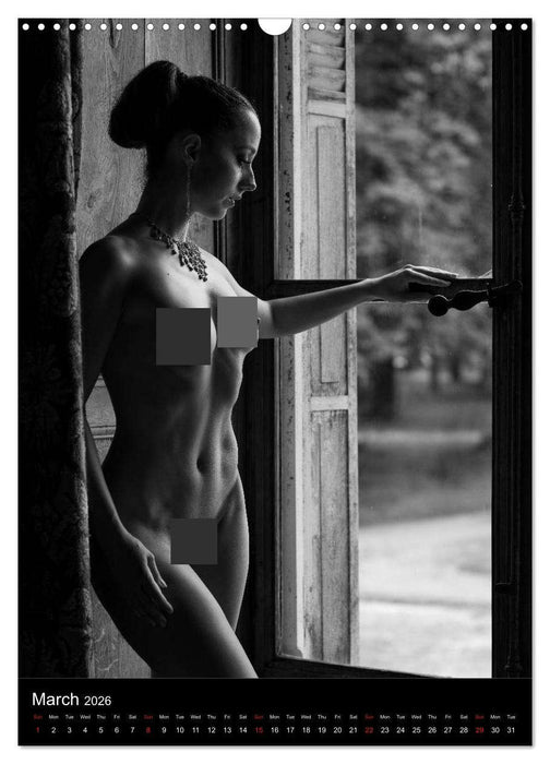 Ladies in the castle (CALVENDO Monthly Calendar 2026)