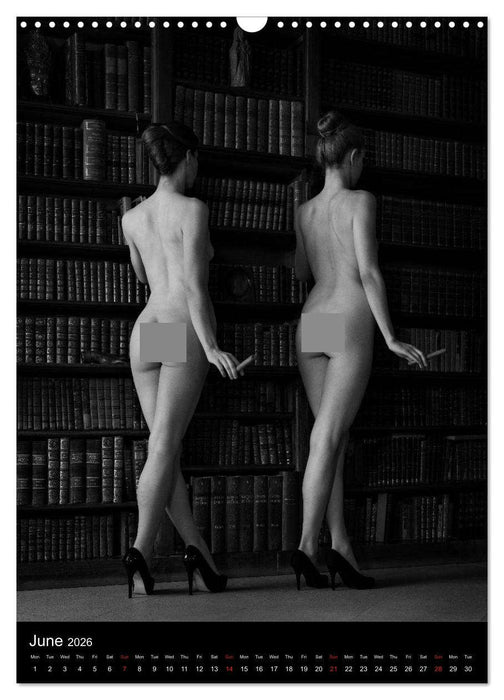 Ladies in the castle (CALVENDO Monthly Calendar 2026)